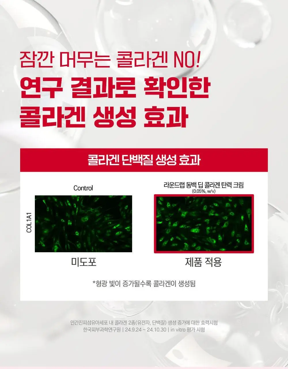 [10층탄력] 라운드랩 동백 딥 콜라겐 탄력 크림 50ml 기획 (+10ml) 상세페이지 22